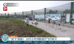 盐城今日爆料新闻最新消息,详情即将揭晓